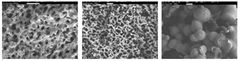 分子構造を任意に制御可能な多孔質高分子材料の新たな合成方法を確立