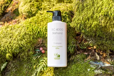 シャンプー500mL