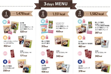 3日分の食事メニュー
