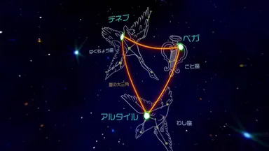 体験型学習コンテンツイメージ2