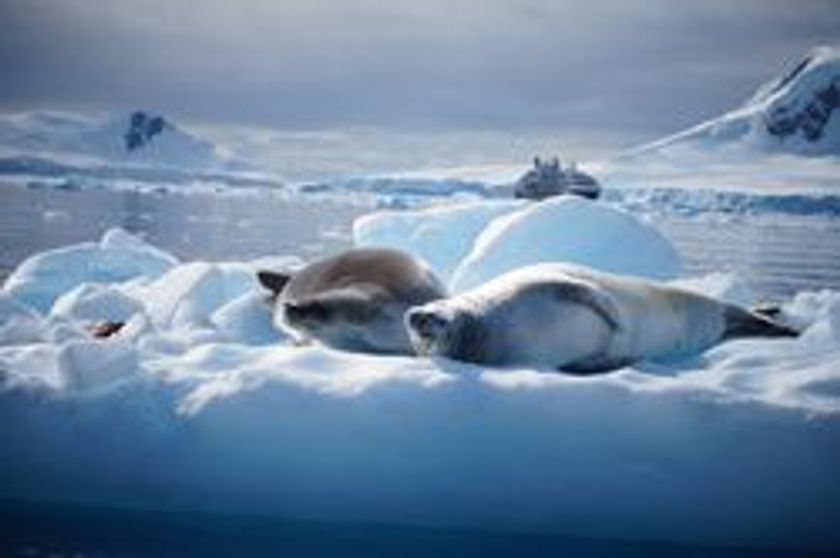 夏休み特別企画
小学生対象の無料講座　「小学生★たびコト塾」
7月30日（月）東京・新橋にて開催