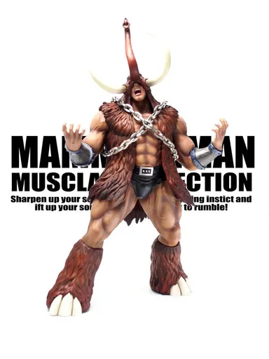 CCP Muscular Collection DX　匠仕様　マンモスマン レジンキャスト製