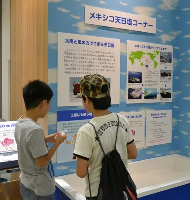 教材用にメキシコ天日塩がもらえるコーナーがあります！