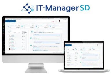IT-Manager SD