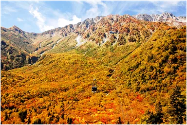 紅葉の大パノラマ・錦秋の絨毯