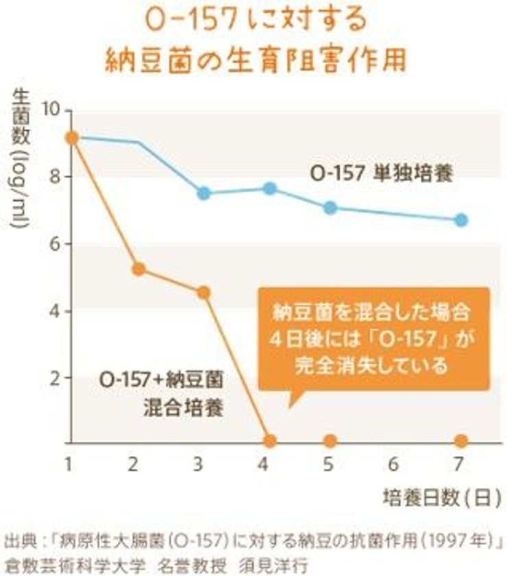 納豆 キナーゼ 効果