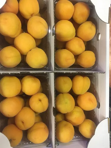入荷時の信州あんず