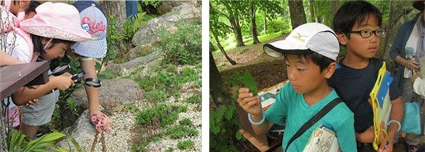 六甲高山植物園　開園85周年特別企画 
「食虫植物のひみつ展」7/14（土）～開催！