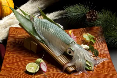 博多　どげん海2