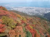 鶴見岳の四季（秋）