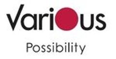 株式会社Various-Possibilityのロゴ