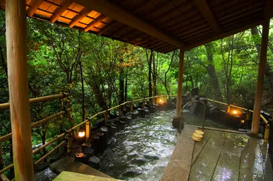 某雑誌で関西北陸地区泉質一位をいただいた泉質