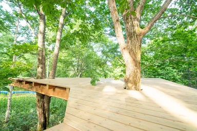 大雪 森のガーデン内に完成したツリーテラス