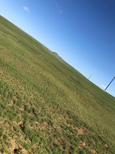 標高2,000m付近　アルタイ山脈