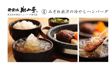 みぞれ出汁の冷やしハンバーグ