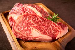 日本初の技術！“発酵熟成肉”を作る「エイジングシート」をミートエポック・明治大学が開発　TBIホールディングス運営の全国28店舗で新メニューとして提供