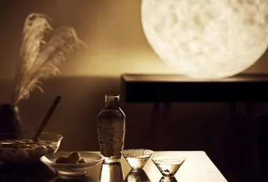 【津軽】春秋波濤_三味線