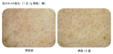 ハトムギ_結果検証4