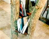 天然木は本棚として利用　photo：ONODA Yoichi