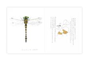 初版の販売から約30年！夏休みにおすすめなロングセラー絵本昆虫や自然の尊さを伝える『昆虫とあそぼう』を2018年も販売！