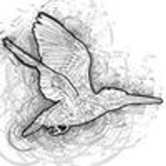 鳥クルッテル.incのロゴ