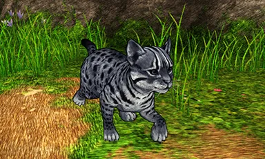 ヤマピカリャー