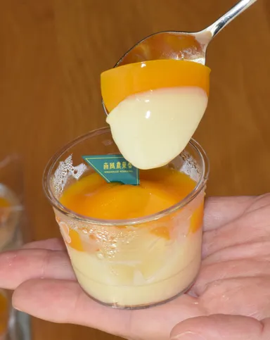 蝶々のデザート(2)