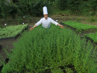 南風ハーブ苑(2)