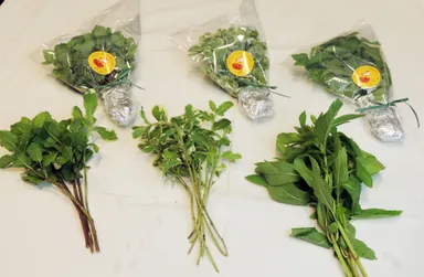 リフレッシュセット