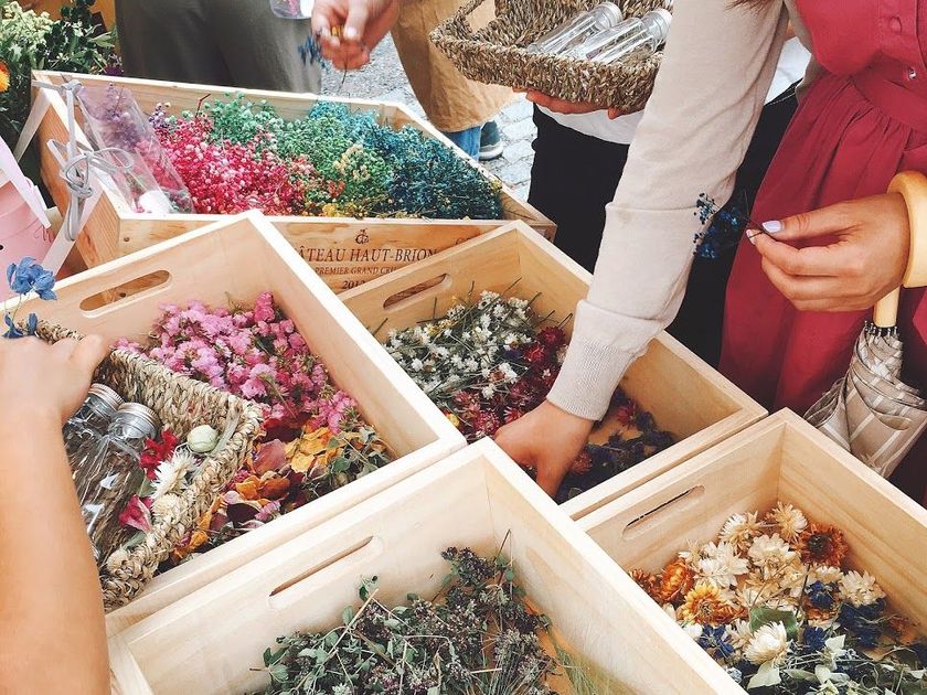 青山ファーマーズマーケット初となる
植物メインのマーケット
「Flower ＆ Green Market」に出店
～ドライフラワー生産者の蓼科プランツとともに、
ドライフラワーを自由に選んでつめて、
自分だけの花の世界をつくる「マイリウム」の
ワークショップを開催～