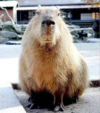 長崎バイオパーク