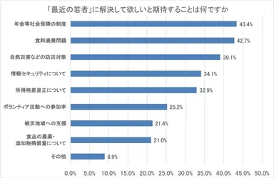 図4-b 「最近の若者」に解決して欲しいと期待することは何ですか