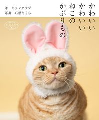 500万個突破の人気カプセルトイ「ねこのかぶりもの」初の猫写真集を8月1日発売