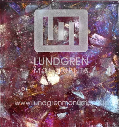 表から日光が差すとゴールドローズ