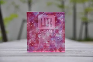 裏から日光が差すとローズピンク