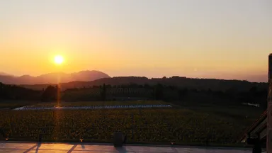 たぬき探偵ジェリー