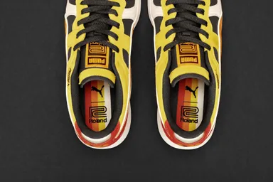 『RS-100 Roland』のブランドロゴ