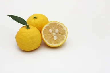 柚子の名産地、愛媛県鬼北町から取り寄せた柚子を贅沢に絞りました。