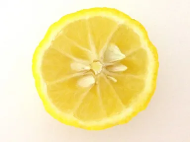 蓋を開けるとみずみずしい柚子の香りが広がります。