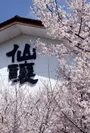 桜で名高い高遠に蔵を構えています。