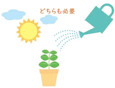 植物に太陽と水が必要なように、筋肉にも運動と栄養が必要
