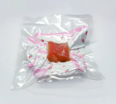 Welcom to japanty！出席番号マグロ