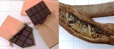 食べたくなっちゃう木