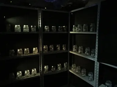 内観イメージ_1