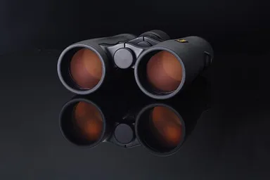 Foresta2_HR10x42_image