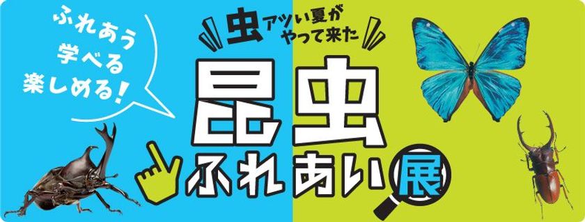“虫アツい夏”に、驚きと発見を体感！
小田急百貨店新宿店「昆虫ふれあい展」8月14日から開催
