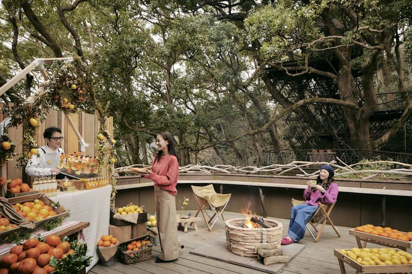 星野リゾート　リゾナーレ熱海（静岡県熱海市）
柑橘の街、熱海で楽しむ手軽なアウトドア体験
「フルーツバーベキュー」を開催
開催期間：2018年11月1日〜11月30日