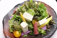 中伊豆産充填豆腐と朝採れ鎌倉野菜のサラダ
