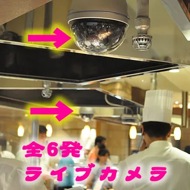 全6台ライブカメラ