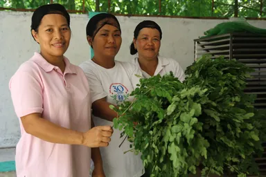 モリンガのフェアトレード生産者